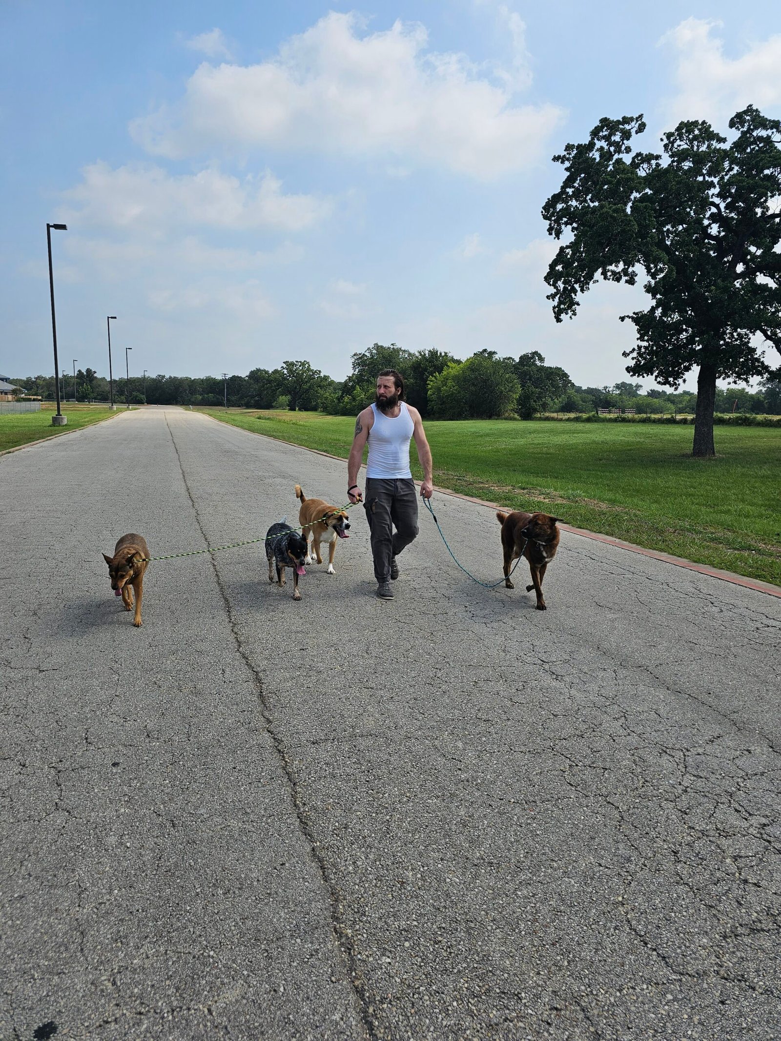 Christopher Lee Moran calmly leash-walking a pack of dogs
