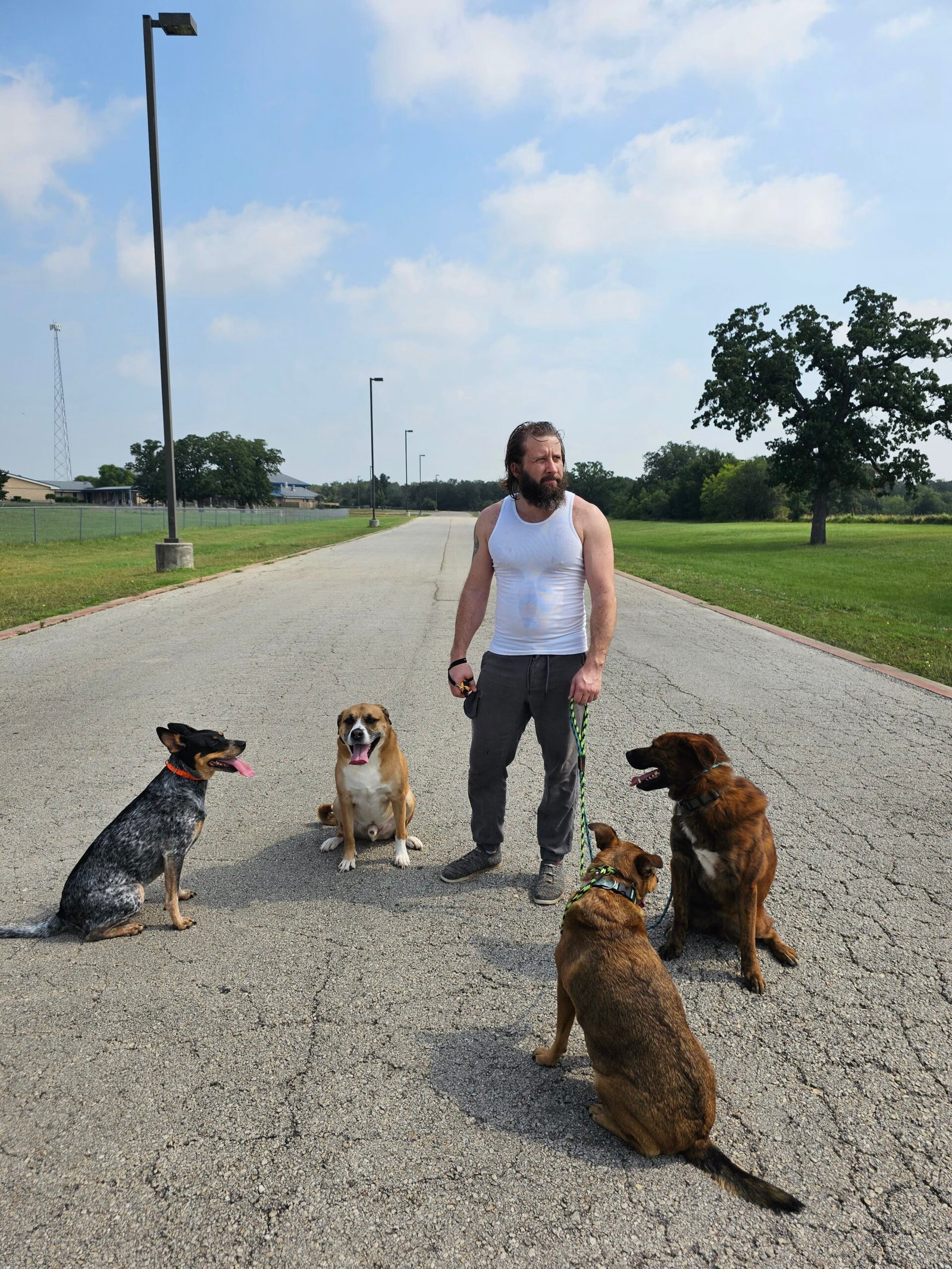 Christopher Lee Moran calmly leash-walking a pack of dogs