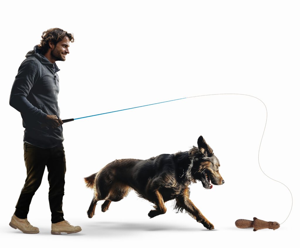 man and dog using flirt pole